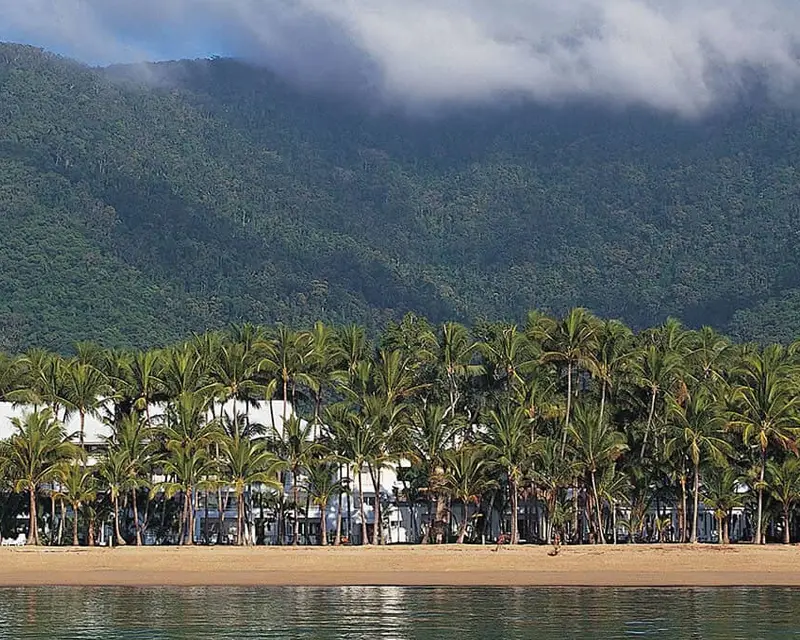 Palm trees swaying outside the Alamanda Chapel