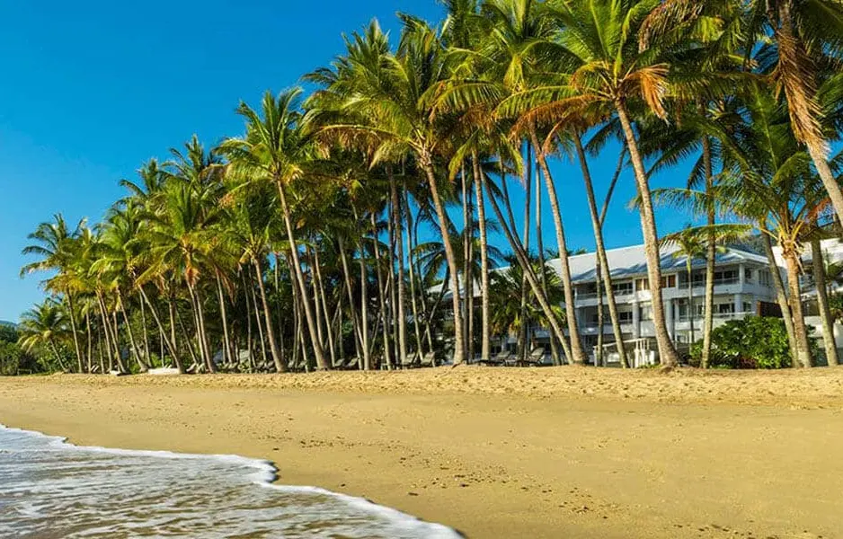 Palm trees in front of the beach, perfect for wedding venues