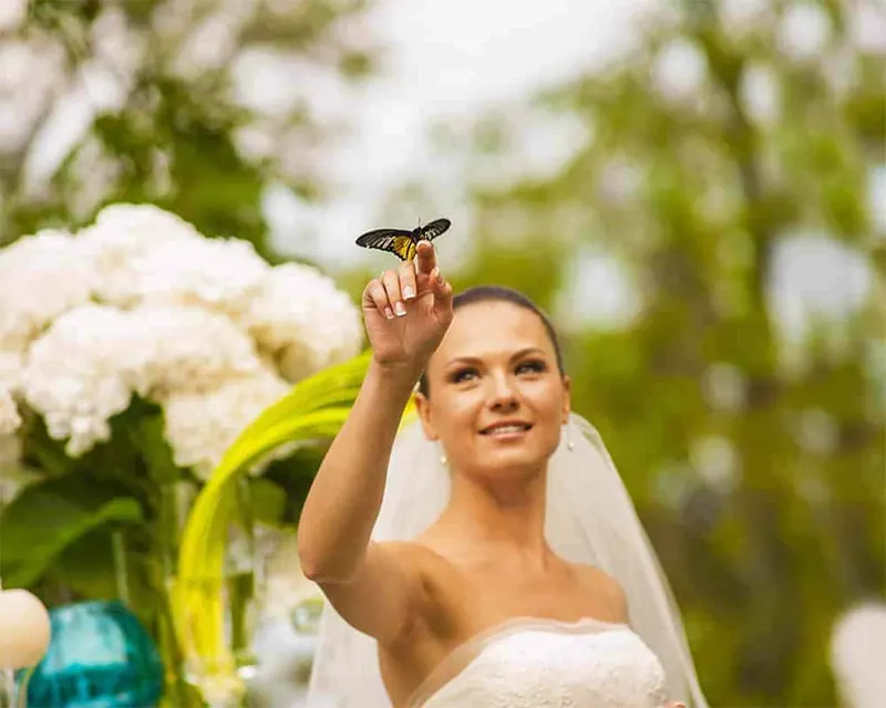 Cairns Wedding Butterfly Release