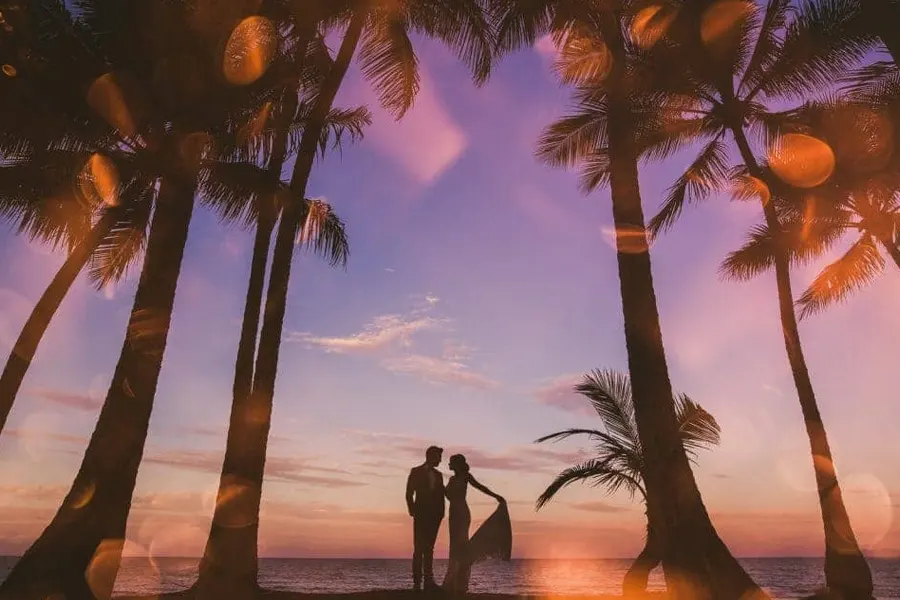 Silhouette of bride and groom holding up grown surrounded by palm trees at sunset